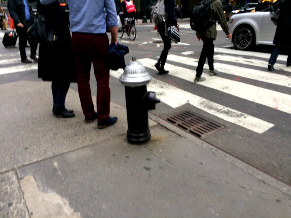 IMG 7136