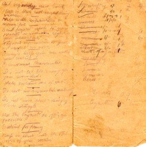 Diary of 494 Sergeant Joseph Cecil Thompson, Gallipoli 1915. Front and back outer pages
