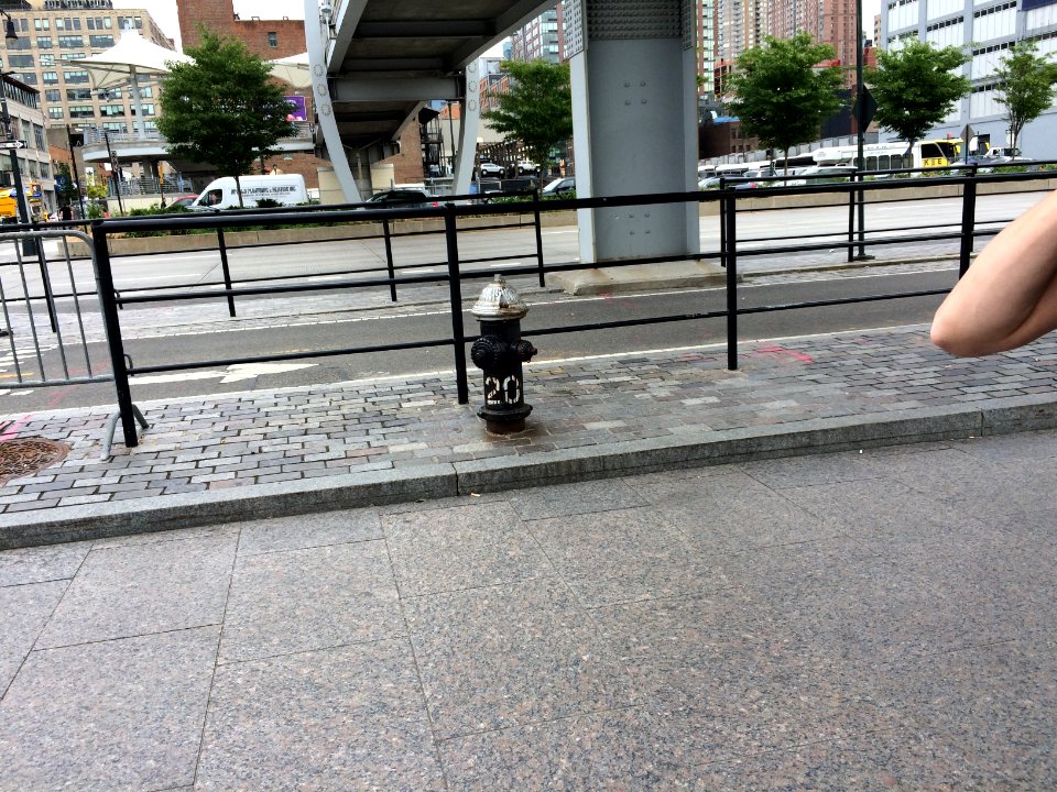 IMG 7062