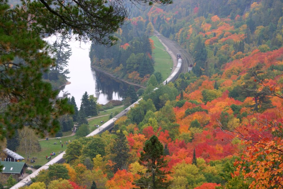 Mountain red trees yellow trees