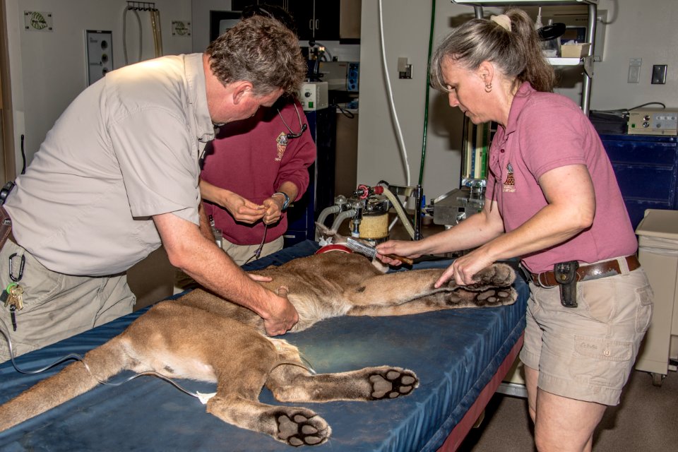 20160525 FP243 release cr Tampa’s Lowry Park Zoo