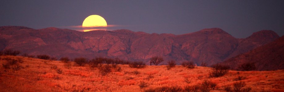 VIEW FROM THE HOUSE - 0252 (1-12-2017) -04 moonset