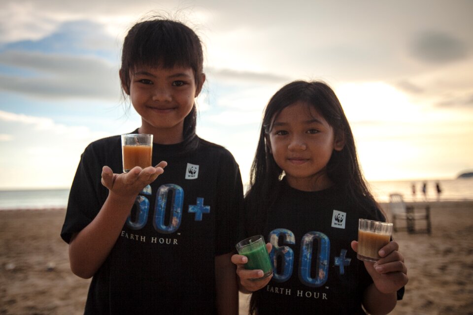 Climate wwf earth hour