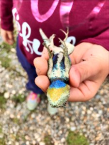 green spiny lizard