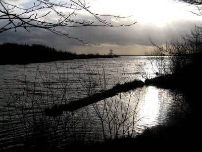 Winter light