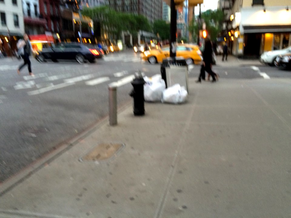 IMG 7162