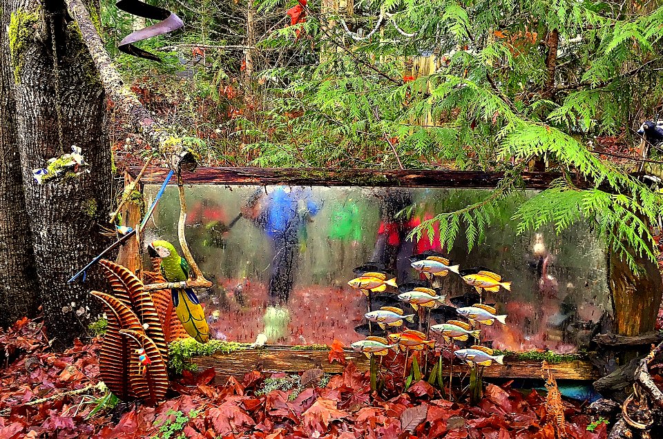 FOREST ART