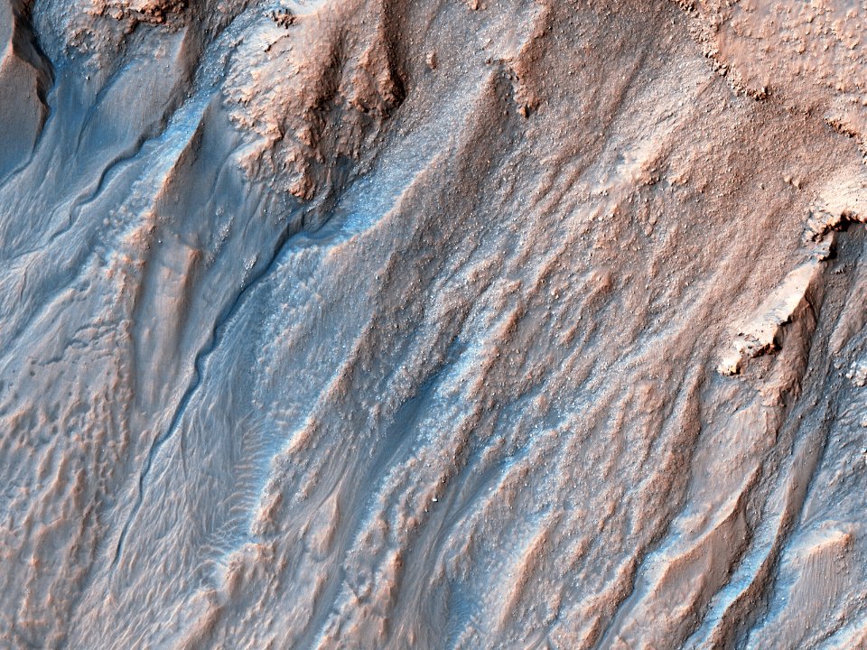 Multi-Elevation Gullies