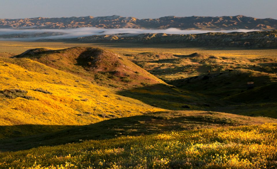 PADRONNES SPRINGS ROAD AREA, Carrizo Plain National Monument, San Luis Obispo Co, CA (4-9-2019) -46