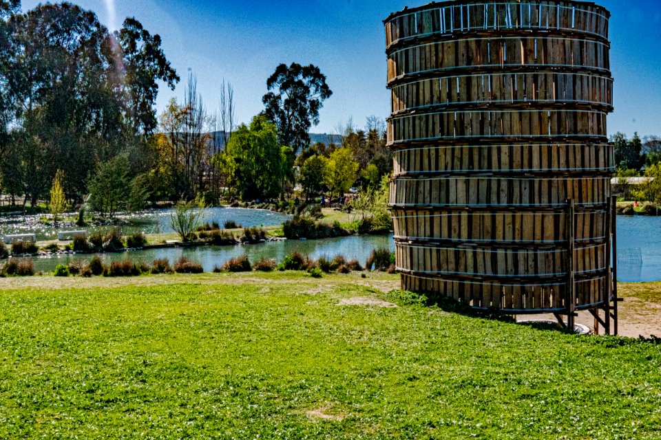 Lago Jardín Botánico