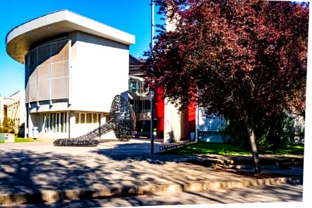 La Facultad