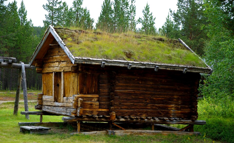 Wooden house grass roof farm