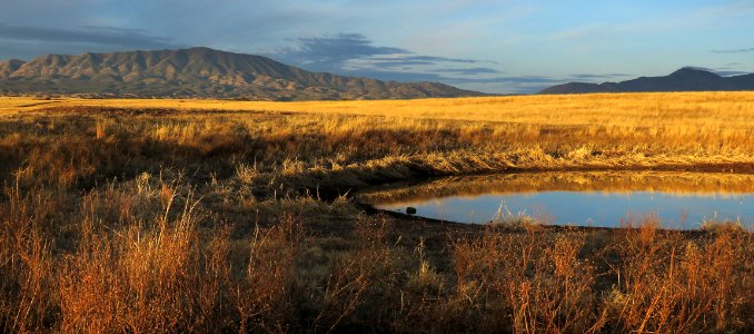 08vb - SAN RAFAEL VALLEY GRASSLANDS, SE of Patagonia, scc, az (2-3-2018) early morning at duquesne tank -04