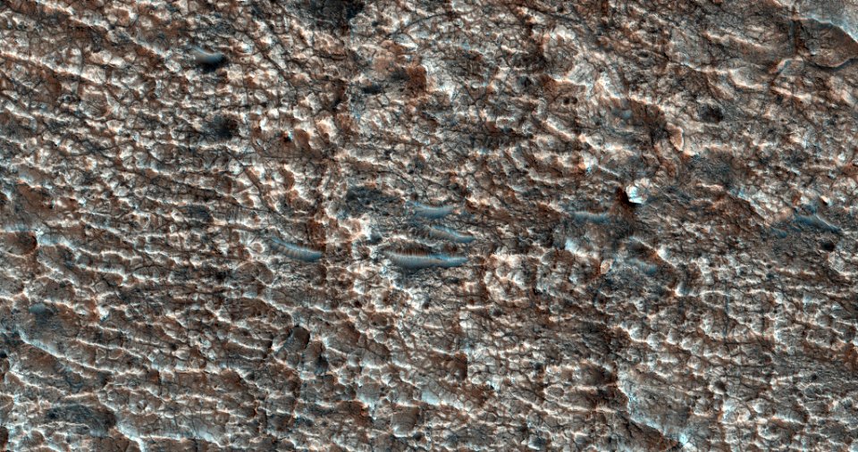 PSP 005817 1515