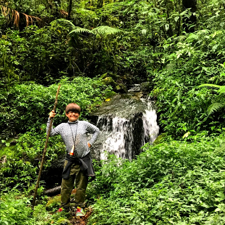 La Quebrada trail primary cloud forest