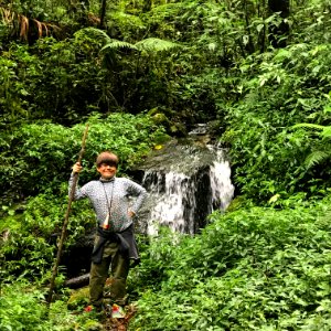 La Quebrada trail primary cloud forest