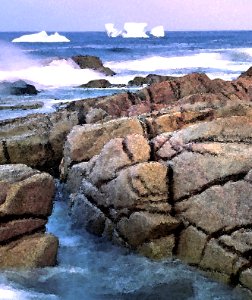 WATERCOLOR - NEWFOUNDLAND   (13)