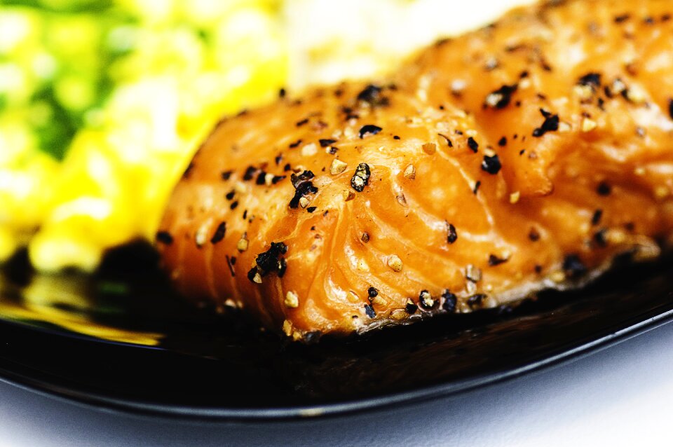 Food fish seafood