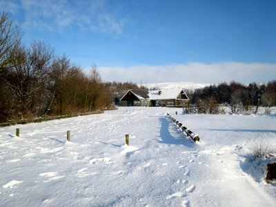 IMG 0151-1