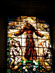Stained Glass St. Francis photo