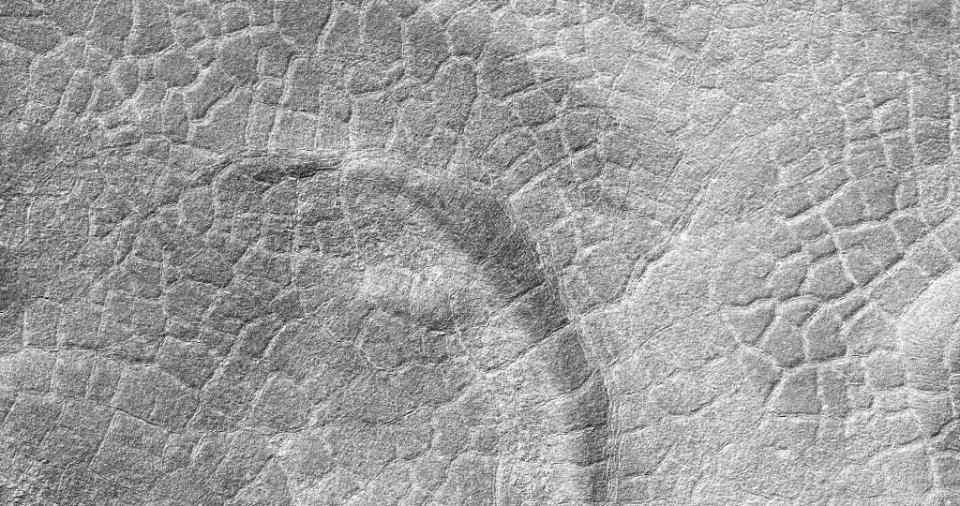 ESP 044251 2470