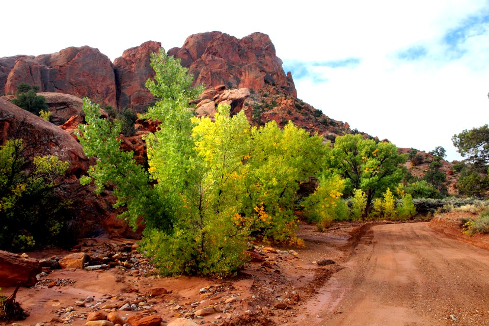 CAPITOL REEF NATIONAL PARK area, GARFIELD CO, UTAH - 2016-09-29 - thru the reef at east end burr trail -02