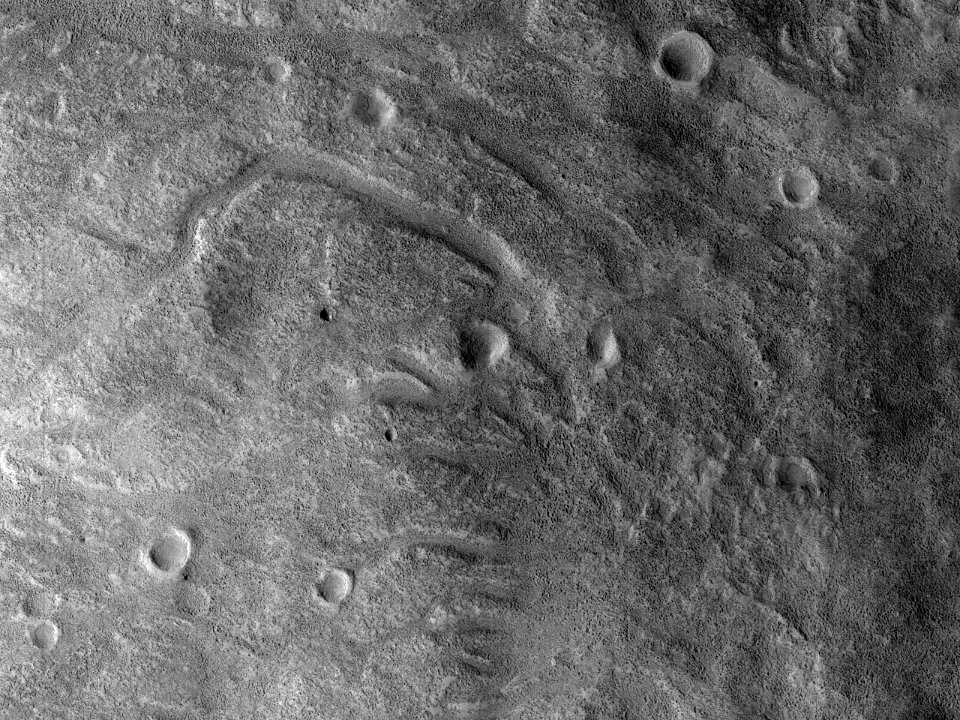 Channels in Arabia Terra