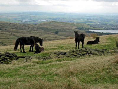 2007 09 22 006-1
