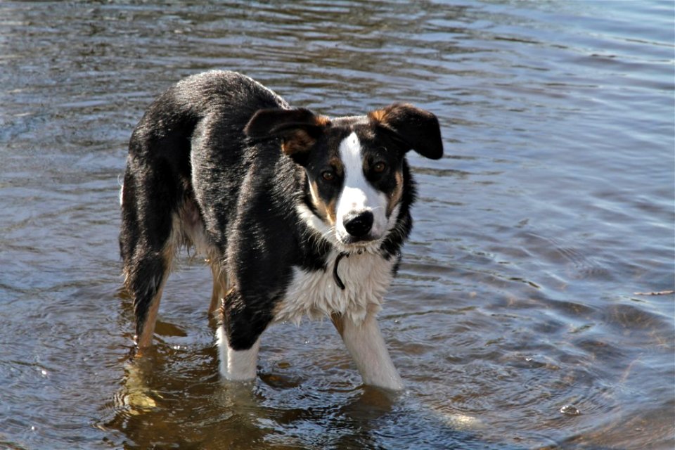 Max at 7 months old