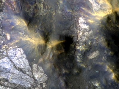 ESP 011523 1695