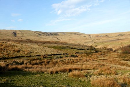 IMG 0183b-1
