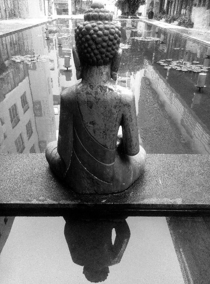 Pond buddha reincarnation
