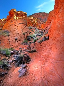 COVID 19 ESCAPE TRIP (4-1-2020) am hike from south campsite, gold buttes national monument, nevada -27 PHOTOSHOP WATERCOLOR photo