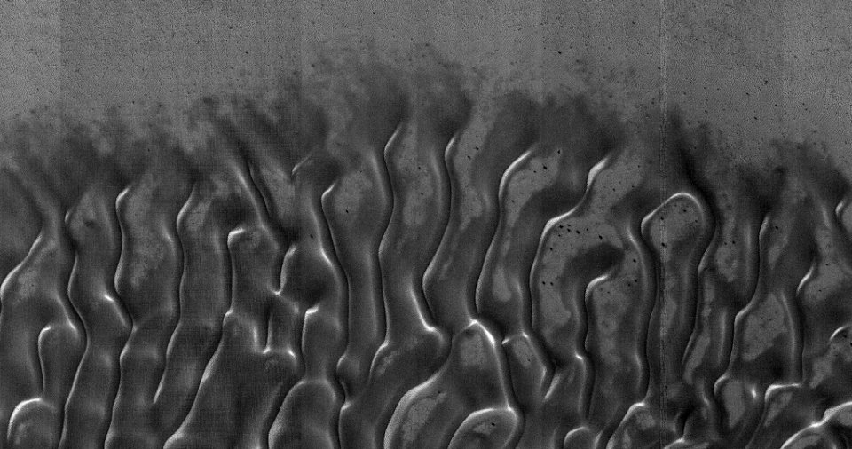 Dune Monitoring in Lomonosov Crater