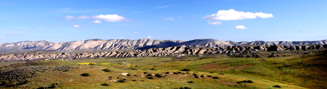 11 - 009a - QUAIL SPRINGS ROAD, carrizo plain national monument, san luis obispo co, ca -04