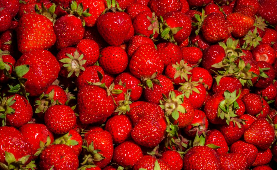 Red delicious fruit