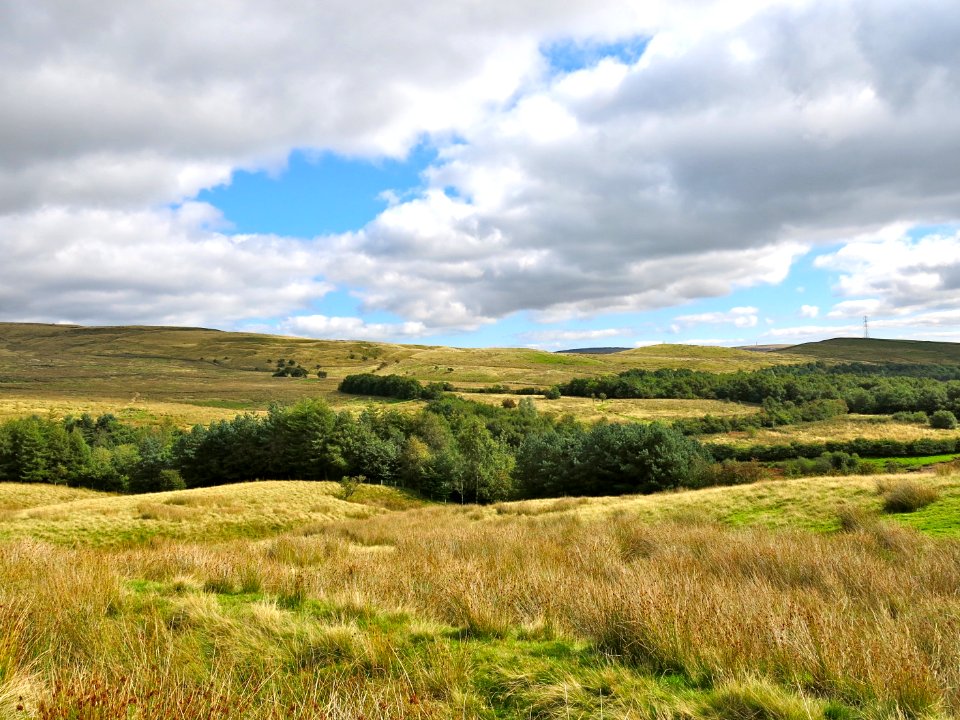 Moorland above Watergrove Reservoir
