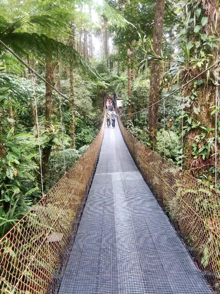 hanging bridge at Arenal Observatory Lodge