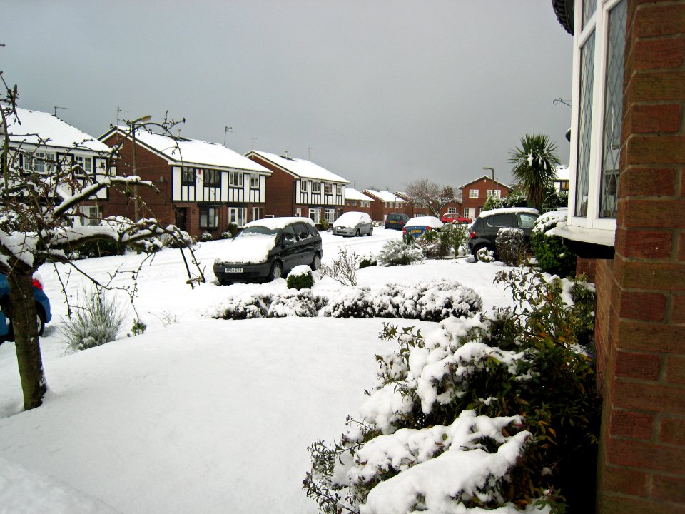 2008 12 02 003-1
