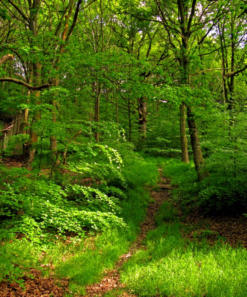 2007 05 25 024 edited-3