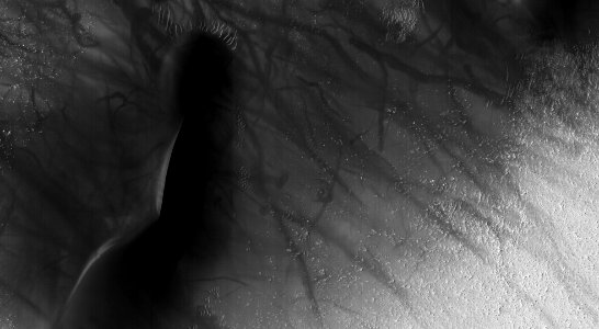 Dark Dust Devil Tracks on a Bright Crater Floor