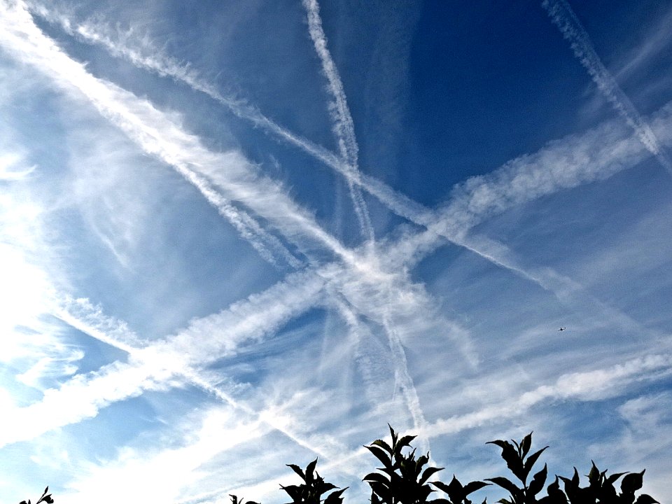 Early morning aerosols