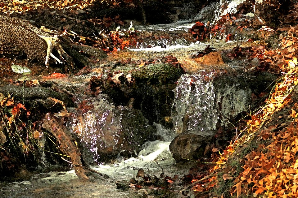 HUACHUCA MTS, Ramsey Canyon, cochise Co, AZ (3-25-2019)  -04 WATERCOLOR