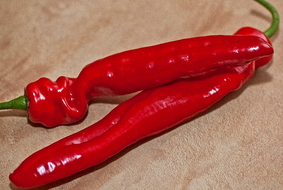 The grain of paprika red red pepper