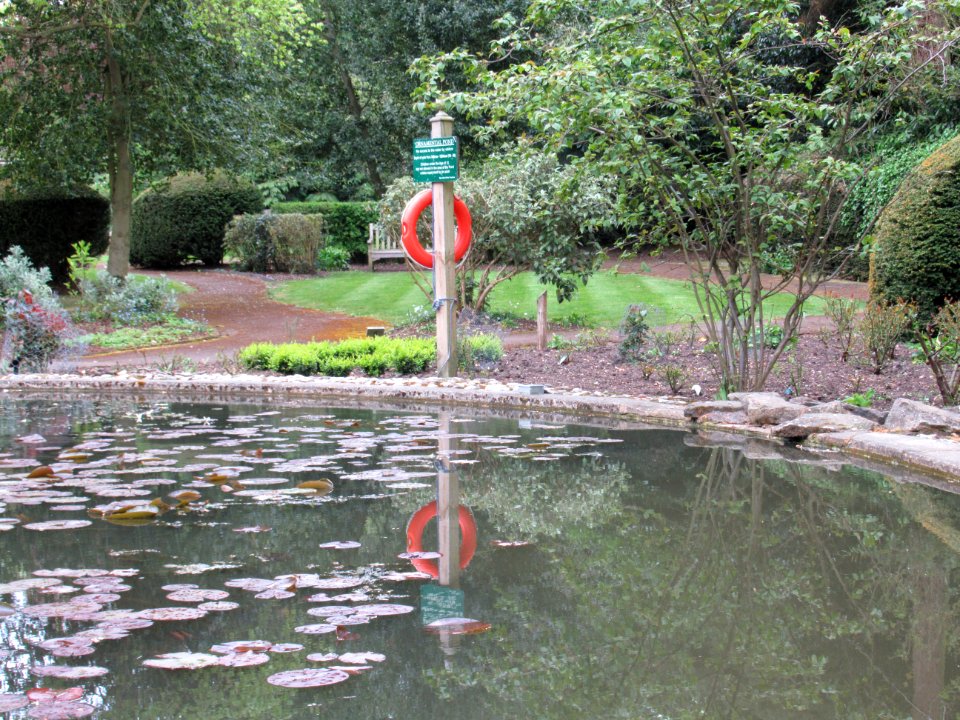 Wednesday, 3rd, Reflections in the pond IMG 6589