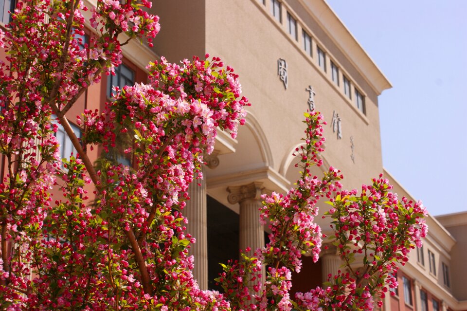Flower flowers library