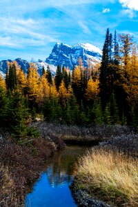 Rocky mountain larch valley reflection in water