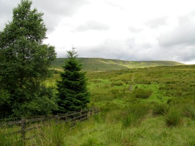 2007 07 07 029-1