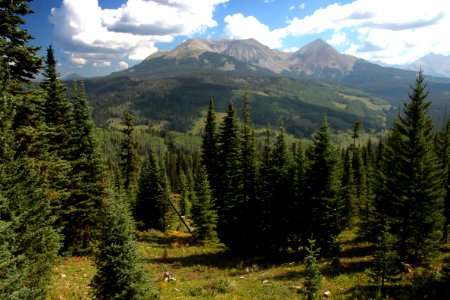 DUNTON MEADOW -11, west of,  groundhog mt, at 10,300 ft pass, dolores co, co - (8-26-12) -02