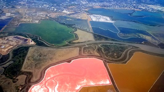 SOUTH (SAN FRANCISCO) BAY SALT PANS (6-8-2019) -1